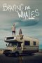 Nonton film Braking for Whales (2019) Nonton film Braking for Whales (2019)