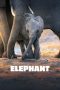 Nonton film Elephant (2020) Nonton film Elephant (2020)