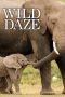 Nonton film Wild Daze (2020) Nonton film Wild Daze (2020)